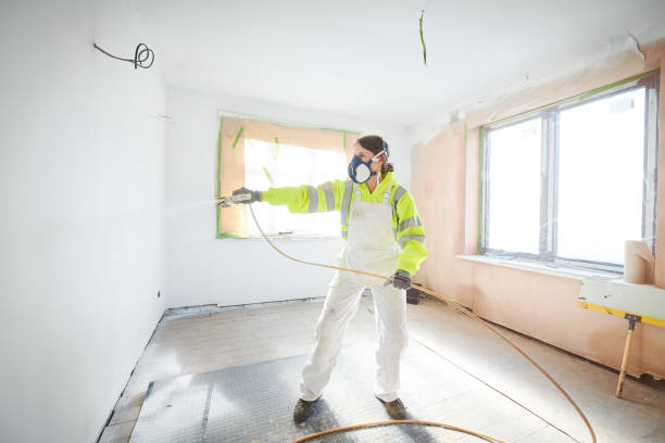 Best Asbestos and Lead Testing During Mold Inspection  in Piedmont, SC