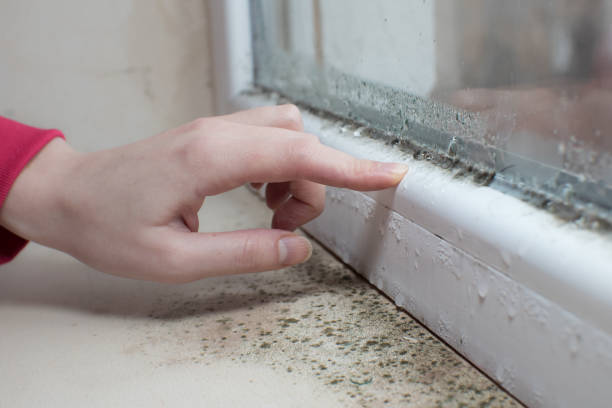 Best Biohazard Mold Removal  in Piedmont, SC