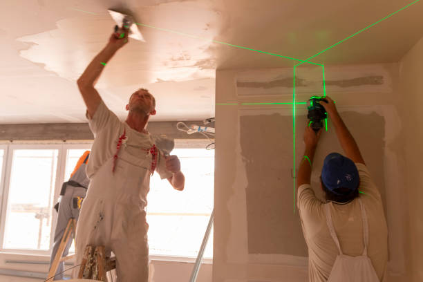 Best Mold Odor Removal Services  in Piedmont, SC