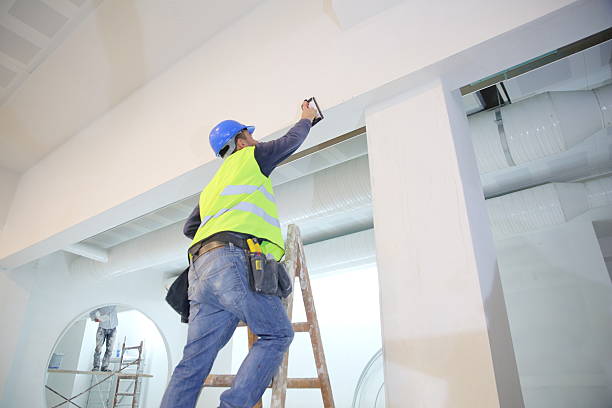 Best Air Quality Testing for Mold Spores  in Piedmont, SC